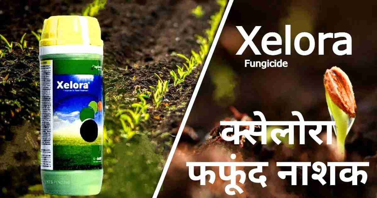 Pyraclostrobin xelora fungicide uses in hindi