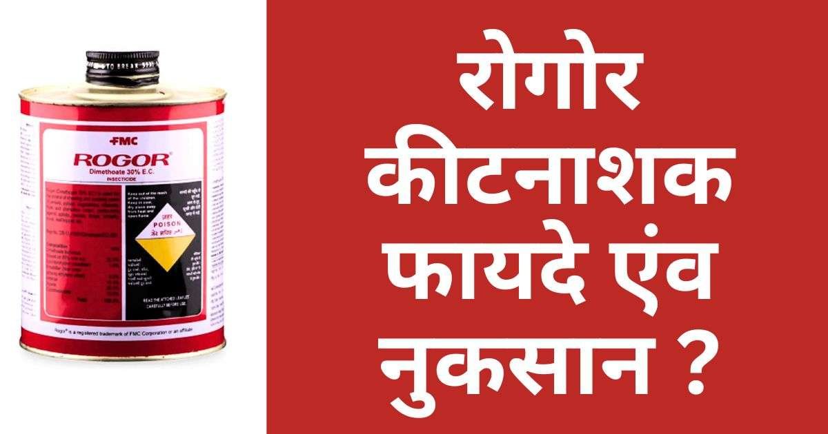 Rogor Insecticide Uses in Hindi | Price | Dose | Content | रोगर कीटनाशक