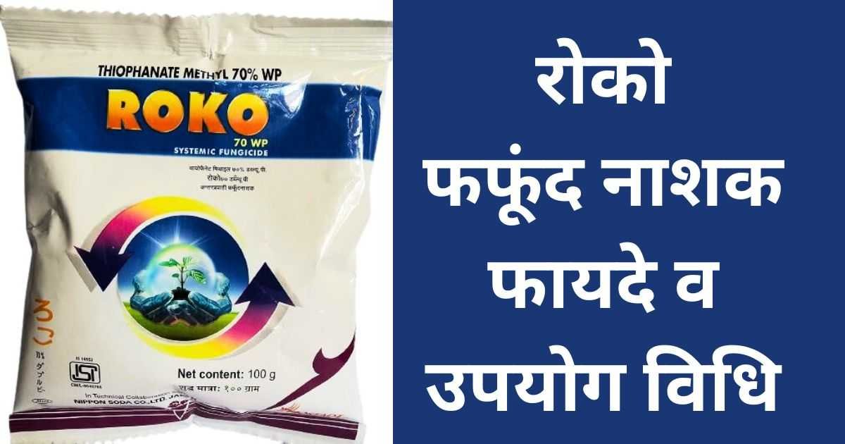 roko fungicide uses in hindi 